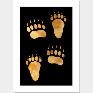 Bear Paw Prints Posters and Art